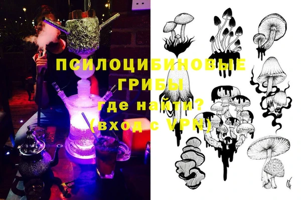 apvp Магас