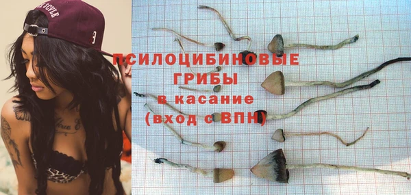 apvp Магас