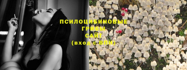 меф Майский