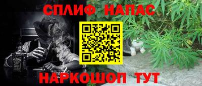 ешки Дубна