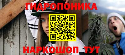 ешки Дубна