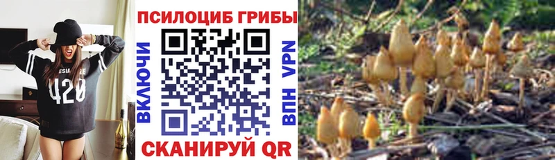Галлюциногенные грибы MAGIC MUSHROOMS  наркотики  hydra маркетплейс  Черкесск 