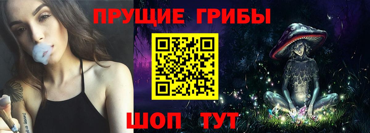 Псилоцибиновые грибы мухоморы  закладка  Черкесск 