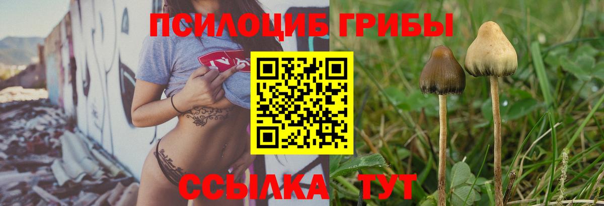 Черкесск  Галлюциногенные грибы мухоморы  купить   Галлюциногенные грибы прущие грибы  Вход с VPN 